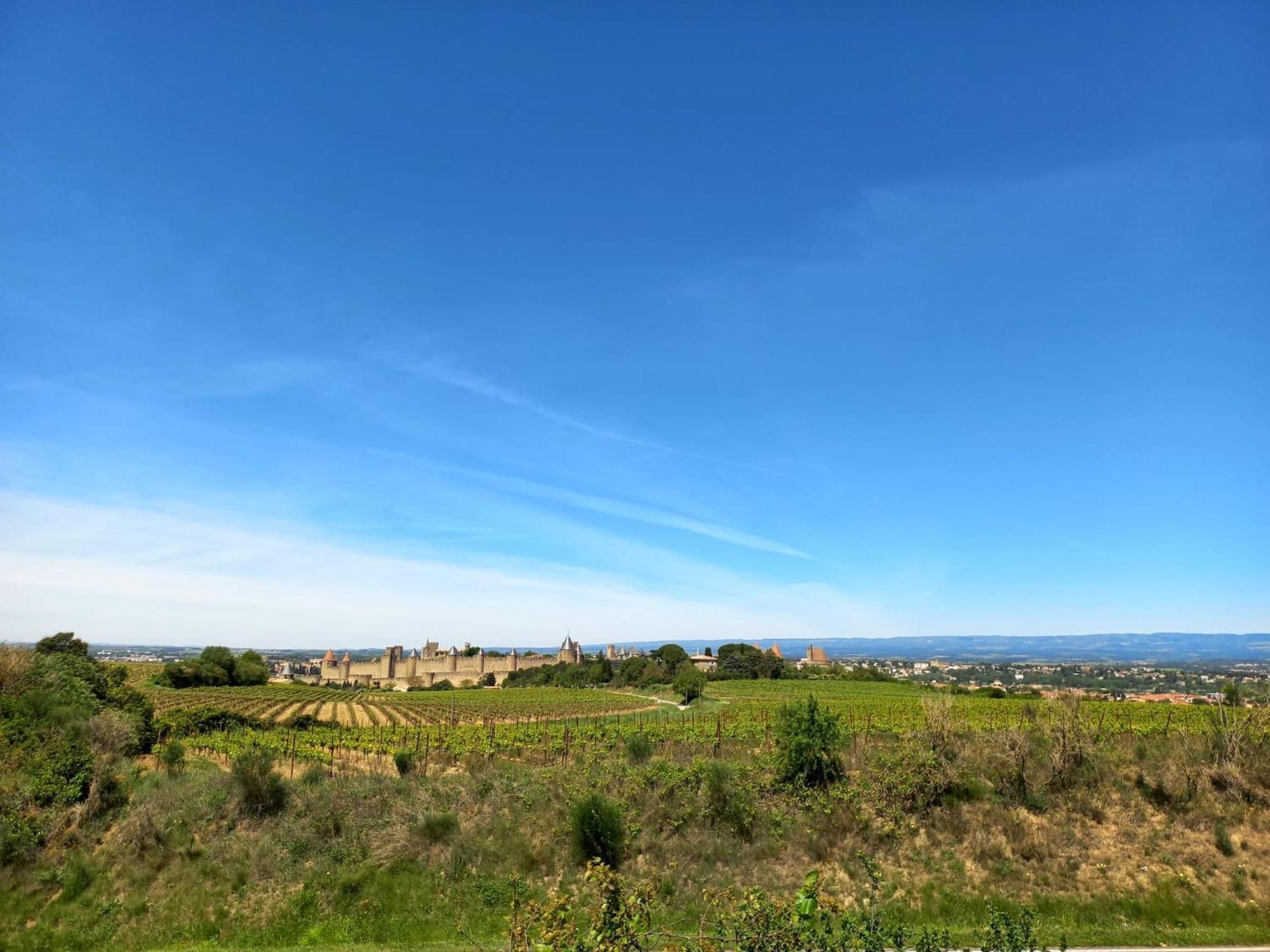 Gite With Private Jacuzzi, Shiatsu & Healthy Food Ladern-sur-Lauquet Exterior foto